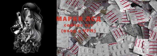 СК Алзамай